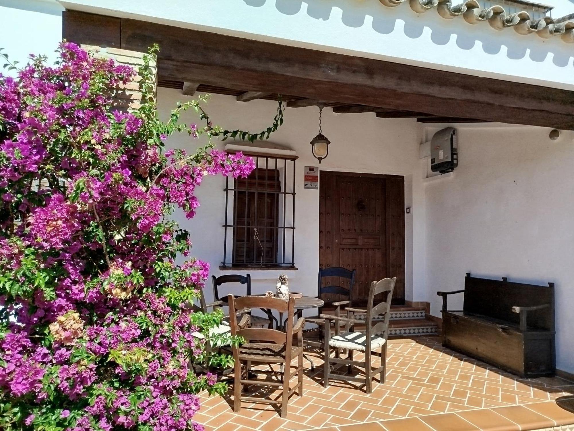 Gran Casa Con Piscina Privada By Chiclana Dreams Villa Chiclana de la Frontera Bagian luar foto